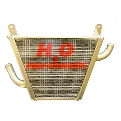 Additional water radiator “TROFEO” HORNET 600