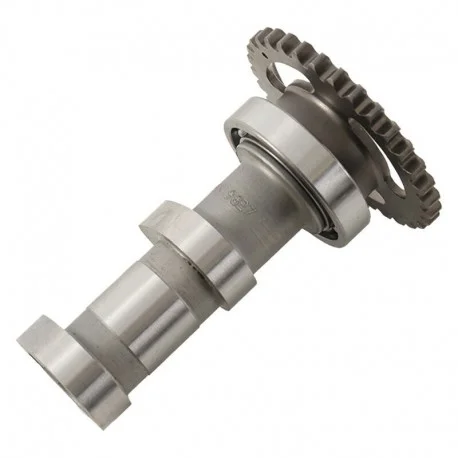 Arbre a cames admission HOT CAMS – Niveau 1 Suzuki RM-Z450