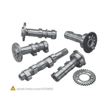 Arbre a cames echappement HOT CAMS – Niveau 1 Suzuki RM-Z450