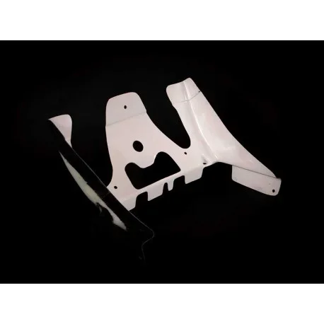 AVIO CARBON FIBER RADIATOR PROTECTION FOR KAWASAKI NINJA 400