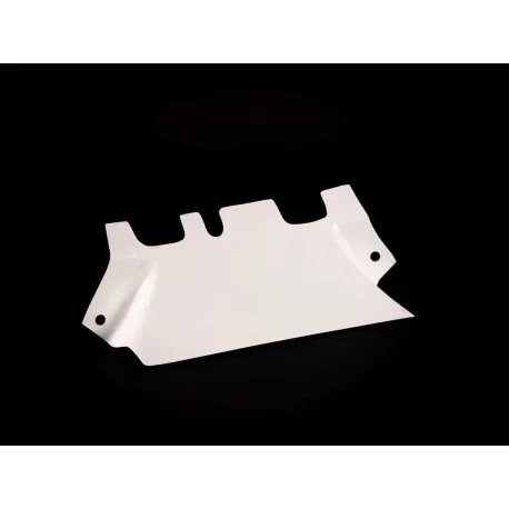 AVIO CARBON FIBER RADIATOR TUNNEL KAWASAKI NINJA 400