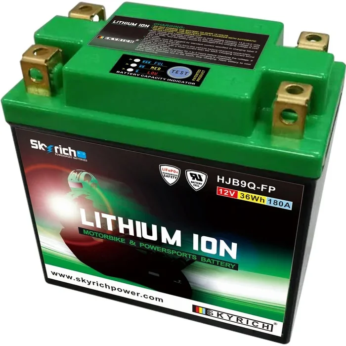 Batterie SKYRICH Lithium-Ion – LIB9