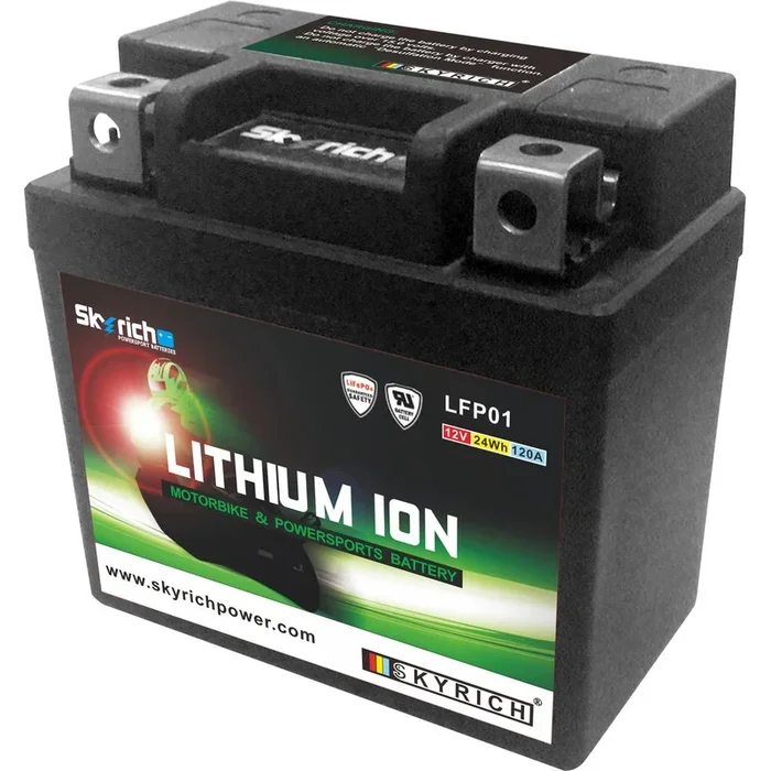 Batterie SKYRICH Lithium-Ion – LTKTM04L