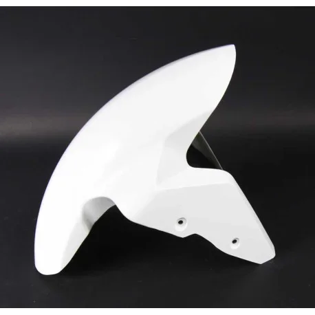 BMW S1000RR FRONT MUDGUARD AVIO CARBON FIBER