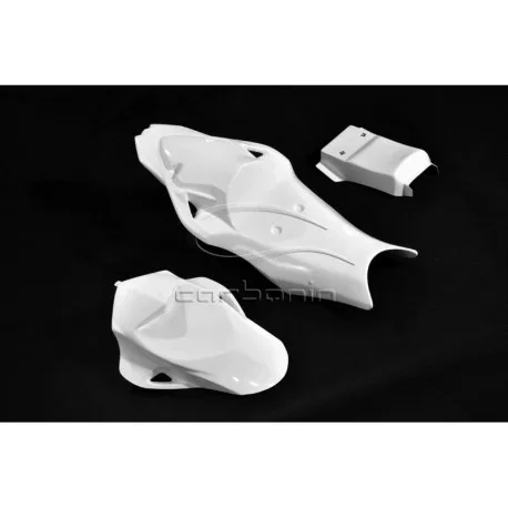 BMW S1000RR REAR FAIRING TRACK VERSION AVIO CARBON FIBER