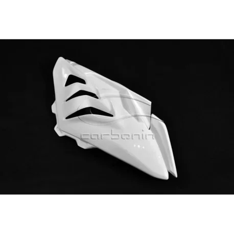 BMW S1000RR RIGHT SIDE FAIRING CARBON FIBER
