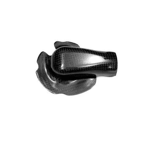 BMW S1000RR Water Pump Carbon Protection
