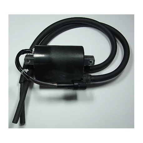 Bobine d’allumage TOURMAX Suzuki DL650 V-Strom