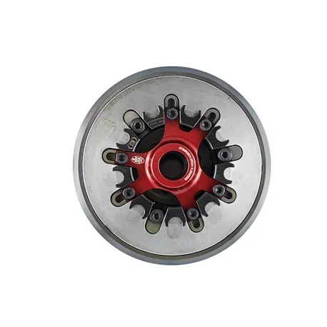 Buell anti-hopping clutch