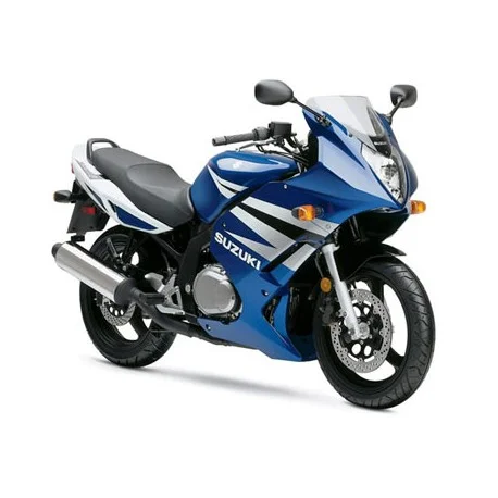 bulle haute protection + 5cm ERMAX SUZUKI GS500F 04-08