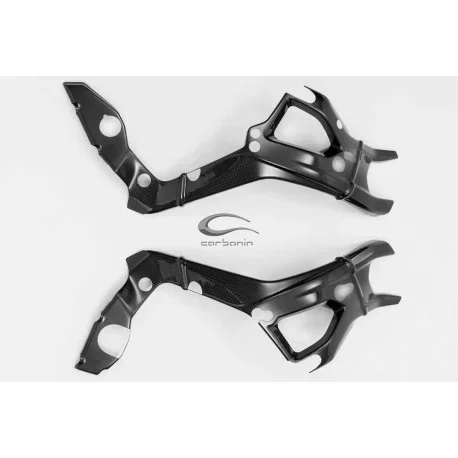 Carbon frame protectors
