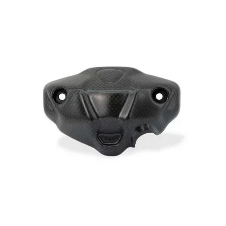 CARBON INSTRUMENTATION PANEL CNC RACING Monster 937