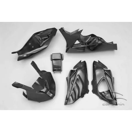 Carenage complet carbone avec partie arriere BMW S1000RR 2010-2011