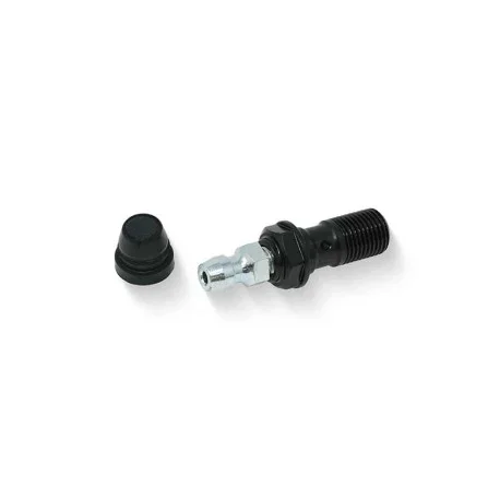 CLUTCH RECEIVER BLEED SCREW M10X1.00