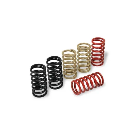 CLUTCH SPRING KIT H40.5 MV AGUSTA