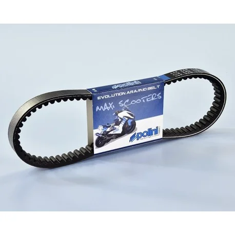 Courroie de transmission POLINI Kevlar renforcee SYM GTS 250 TGB X-MOTION 250 X-MOTION 300