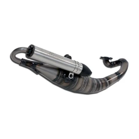 Echappement GIANNELLI REKORD scooter PEUGEOT JET FORCE 50 C-TECH