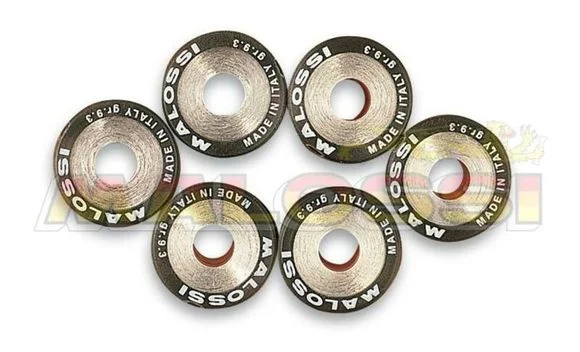 Galets de variateur Malossi Jeu de 18x14mm 14gr – 6 pièces Ref : MAL00213A / 1007922