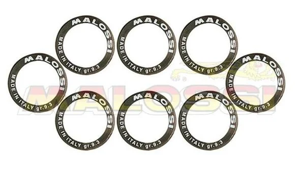 Galets de variateur Malossi Jeu de 25×14,9mm 14gr – 8 pièces Universel Ref : MAL00199A / 1007908
