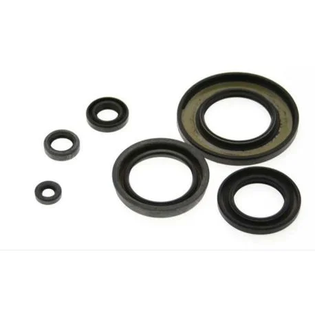 Jeu de joints spi CENTAURO APRILIA MOTEUR ROTAX 122 1988 – 2007