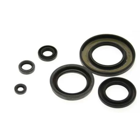 Jeu de joints spi CENTAURO FANTIC TRIAL CLUBMAN KR00