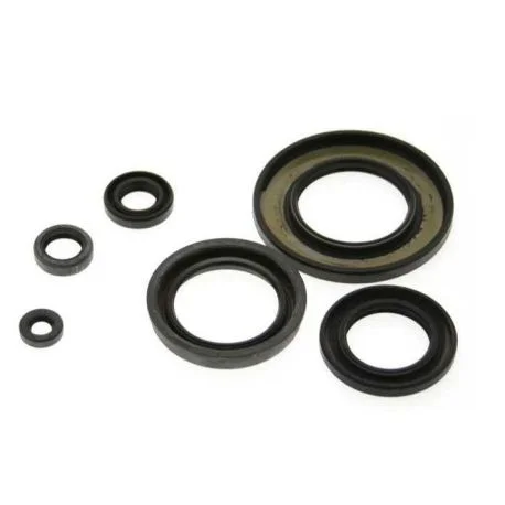 Jeu de joints spi CENTAURO POLARIS 250 SCRAMBLER / TRAIL BLAZER / TRAIL BOSS