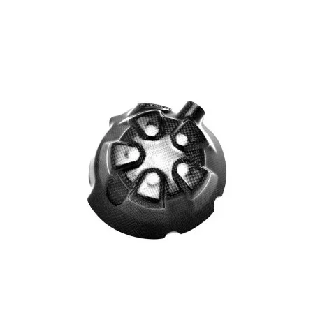 KAWASAKI Z1000 CLUTCH COVER PROTECTION CARBON