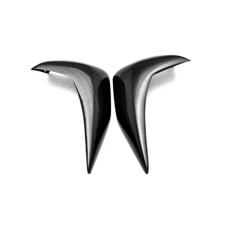 KAWASAKI Z750 R-S PAIR CARBON RADIATOR COVERS