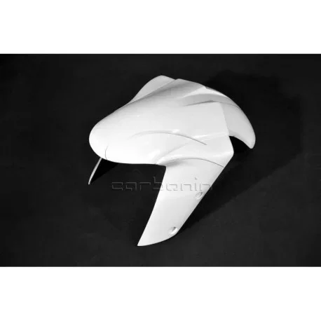 KAWASAKI ZX10R FRONT FENDER AVIO CARBON FIBER