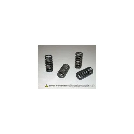 KIT RESSORTS D’EMBRAYAGE POUR SUZUKI, SV1000N, GSX1300R HAYABUSA