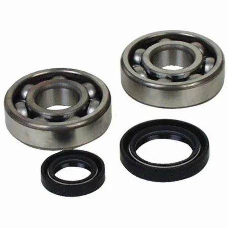 Kit roulements et joints spi de vilebrequin HOT RODS KTM SX-F 250 2011