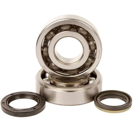 Kit roulements et joints spi de vilebrequin HOT RODS SUZUKI RMX 450 RM-Z 450