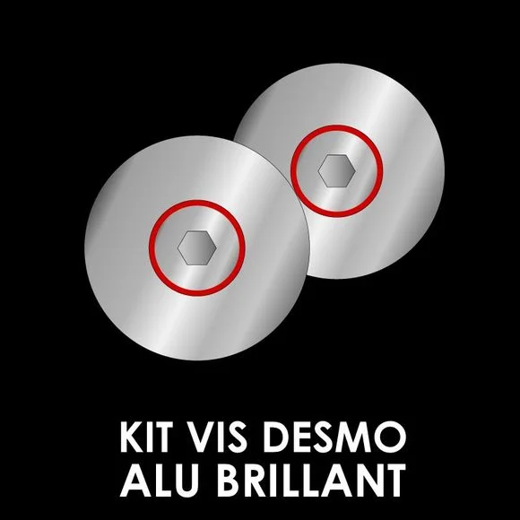 Kit Visserie Casque ROOF RO31 / RO32 DESMO / RO32 DESMO NEW GENERATION – Gris Ref : RO0194 / 50230100