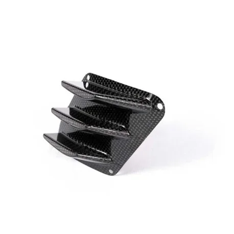 Left carbon wing Carbonin