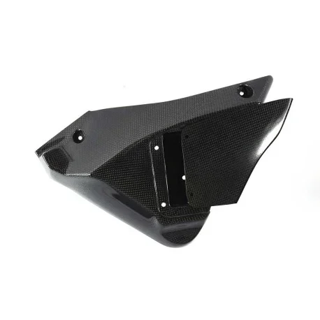 Left side carbon panel (1 Dzus)