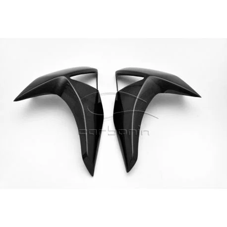 Paire d&rsquo;ecopes de radiateur carbone KAWASAKI Z1000 2007-2009