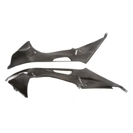 Protection laterales reservoir carbone avec partie arriere BMW S1000RR 2010-2011