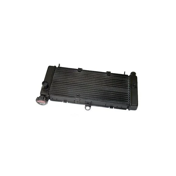 Radiateur Brazoline A EAU ADAPTABLE Ref : RA0061