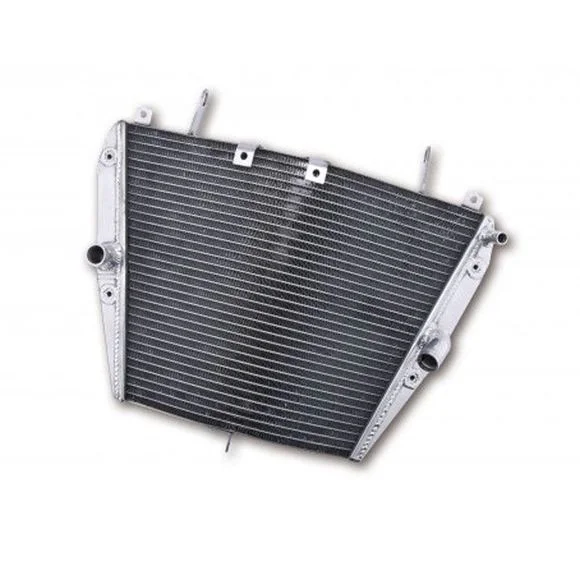 Radiateur Brazoline A EAU ADAPTABLE Ref : RA5018