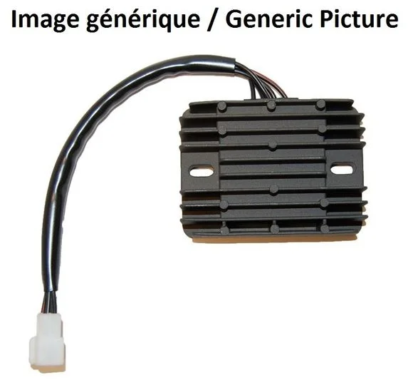 Régulateur de tension Electrosport Ref : ELS00024A / 1077942