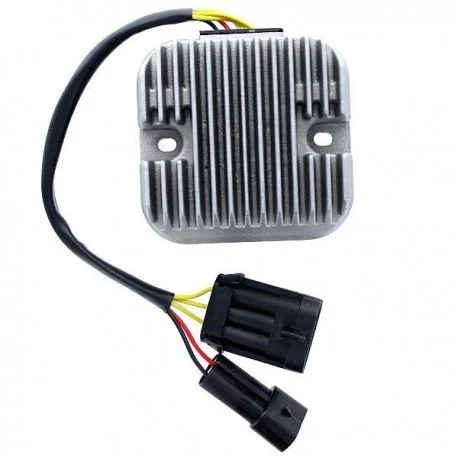 Regulateur ELECTROSPORT – Polaris RZR900