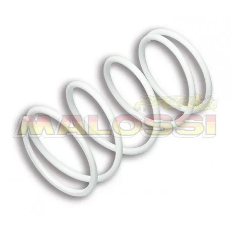 Ressort de poussee renforce MALOSSI Piaggio X9