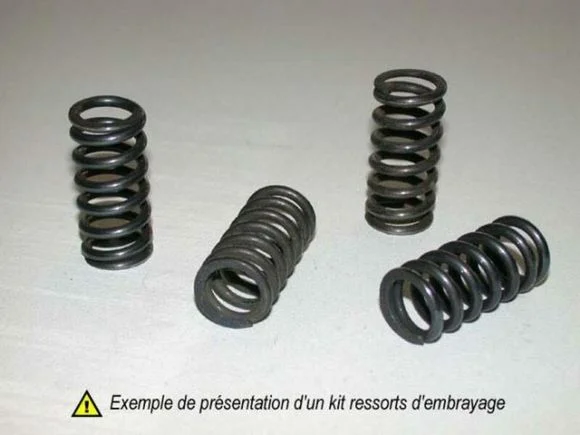 Ressorts d’embrayage Bihr Kit Ref : BI00651A / 1009172