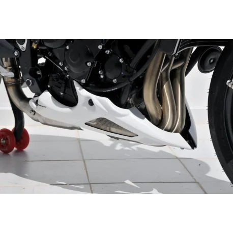 Sabot moteur ERMAX TRIUMPH 675 STREET TRIPLE 2012