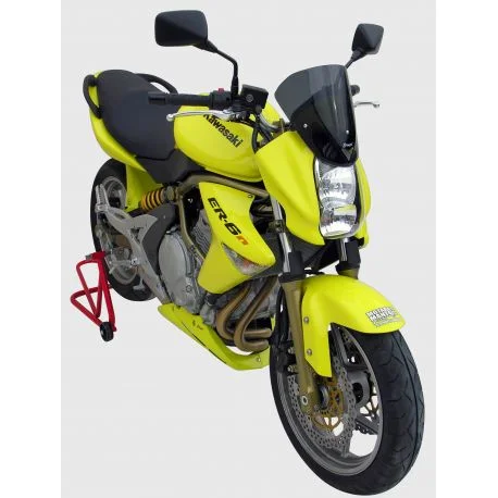 Saute vent double galbe ERMAX KAWASAKI ER6 N 2006-2008