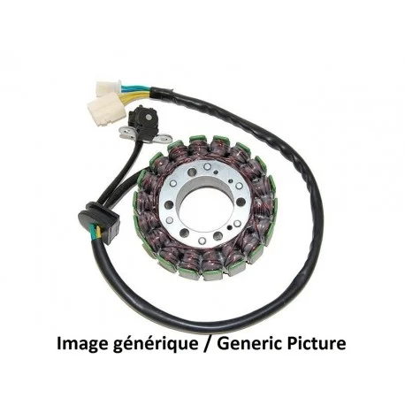 Stator ELECTROSPORT – Honda CBF1000