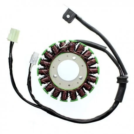 Stator ELECTROSPORT – Triumph 675