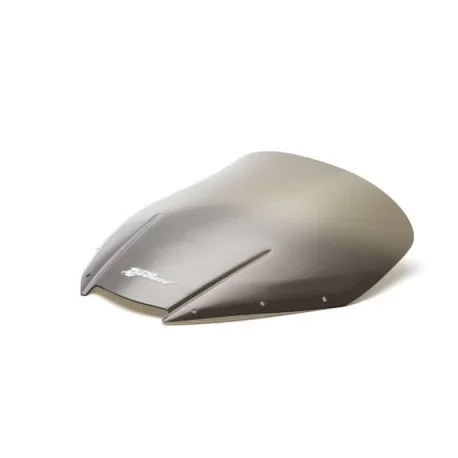 Triumph Tiger 1050 Screen – SE