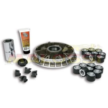 Variateur MALOSSI Multivar 2000 – BMW C600 – 650