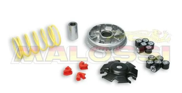 Variateur Malossi Multivar 2000 Ref : MAL00118A / 1008015